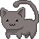 cat chasing yarn